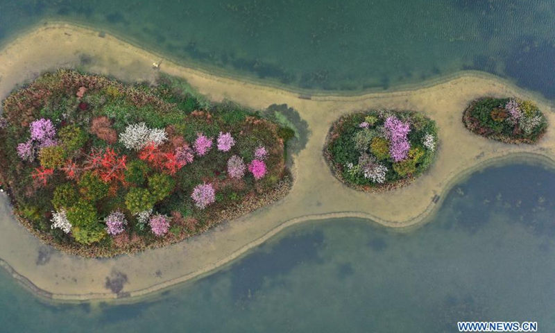 Aerial photo taken on Feb. 27, 2021 shows blooming flowers on small islands in the middle of Nanhu Lake in Nanning, south China's Guangxi Zhuang Autonomous Region.(Photo: Xinhua)