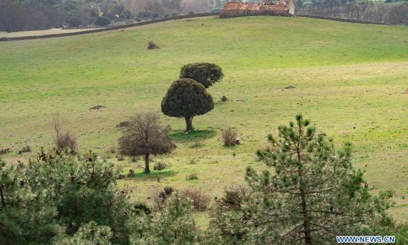 Photo taken on Feb. 28, 2021 shows the scenery of Manzanares el Real, Spain.(Photo: Xinhua)