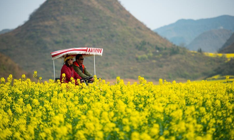 Visitors enjoy the cole flowers at a scenic area in Luoping County, southwest China's Yunnan Province, March 2, 2021. Photo:Xinhua