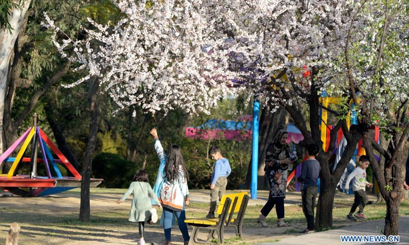 People walk past blooming trees at a garden in Rawalpindi of Pakistan's Punjab province on March 2, 2021. Spring season starts as temperature rises in Pakistan.Photo:Xinhua