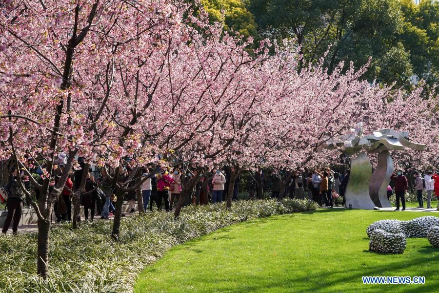 Spring scenery across China - Global Times