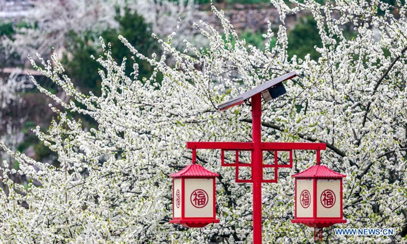 Aerial photo taken on March 4, 2021 shows people view the early spring scenery at Yinhe Village of Yubei District, southwest China's Chongqing. Photo:Xinhua