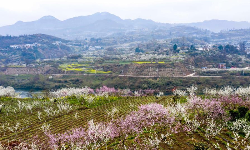 Aerial photo taken on March 4, 2021 shows the early spring scenery of Qiulin Village in Bijie, southwest China's Guizhou Province.Photo:Xinhua