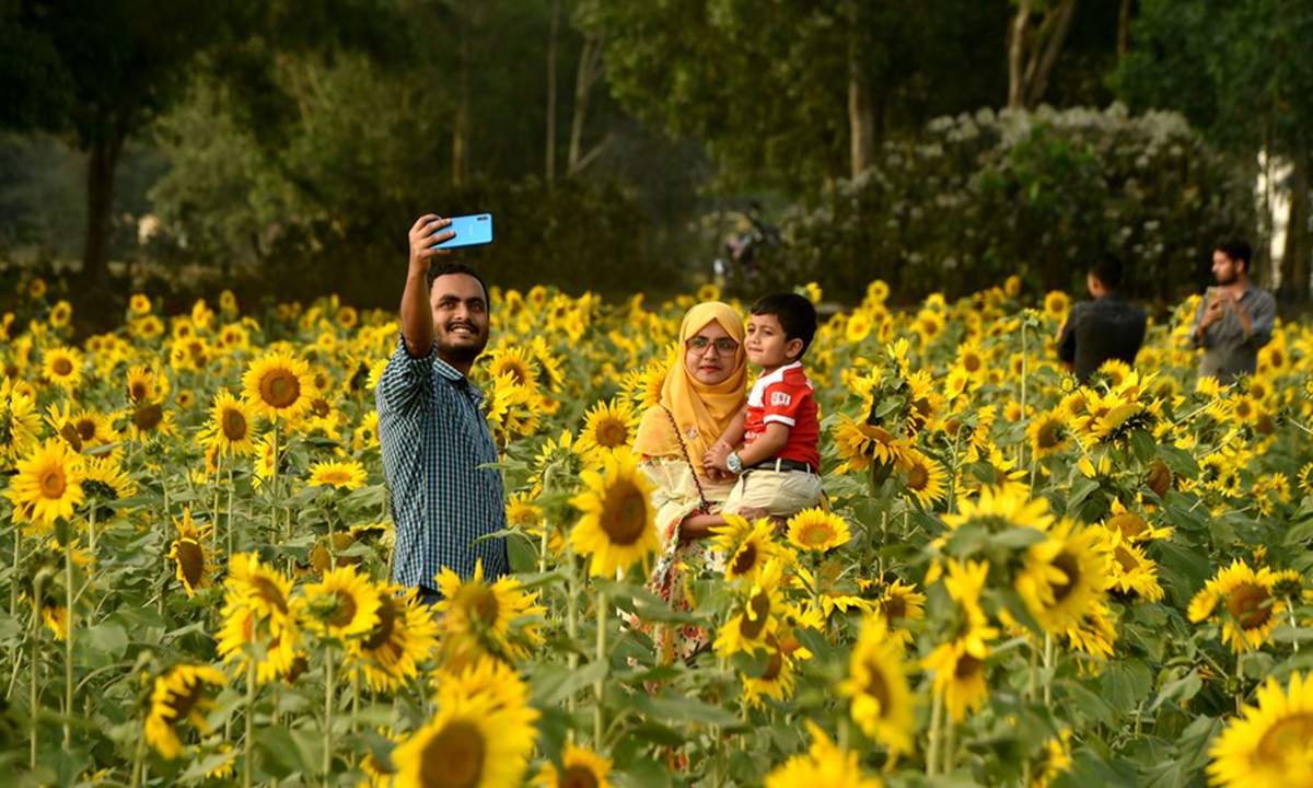 Visitors take selfies at a Sunflower field in Brahmanbaria, Bangladesh on March 6, 2021. (Xinhua)