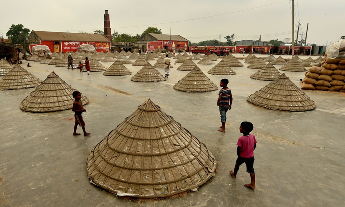 Photo taken on March 7, 2021 shows piles of paddy crops covered in cones in a yard of a rice mill in Brahmanbaria, northeast of capital Dhaka, Bangladesh. (Xinhua)