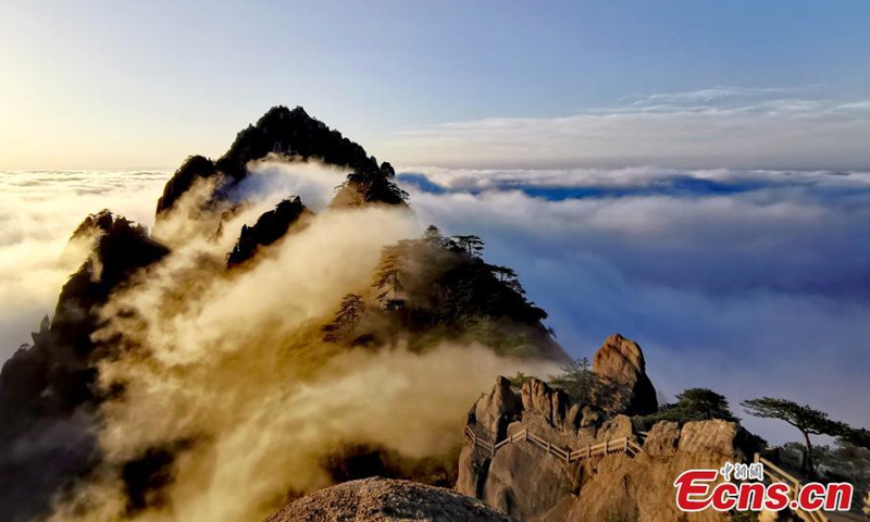 A beautiful sea of clouds occurs after a rainfall at the Huangshan Mountain scenic area in Anhui on March 10. The morning sun warmed the sea of clouds to a radiant glow.Photo:China News Service