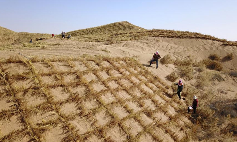 Green lands cover more areas of China with efforts of volunteers across ...