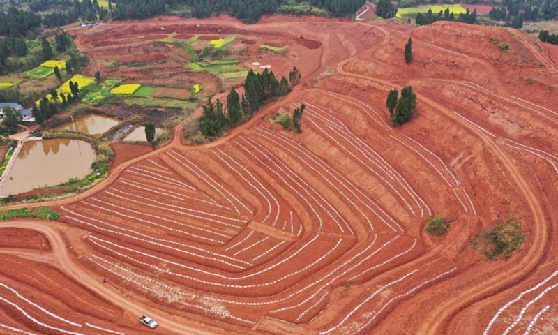 Aerial photo shows a planting base of pumpkin and plum in Shuangjiang Town in Tongnan District of southwest China's Chongqing, March 10, 2021.(Photo:Xinhua) 