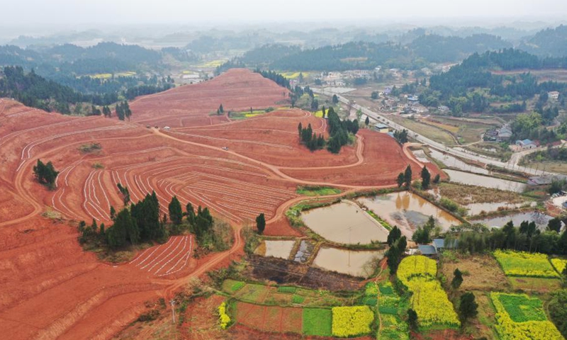 Aerial photo shows Guandian Village in Shuangjiang Town in Tongnan District of southwest China's Chongqing, March 10, 2021.(Photo:Xinhua) 