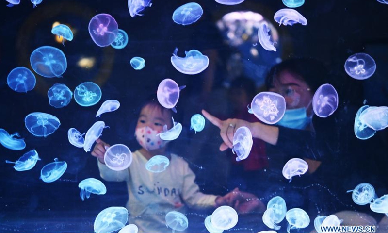 Visitors look at jellyfish at Harbin Polarpark in Harbin, capital of northeast China's Heilongjiang Province, March 12, 2021. Harbin Polarpark opened to the public on Friday.(Photo: Xinhua)