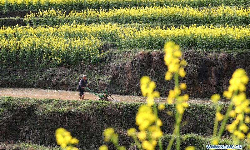 Villagers work in field in Zunyi, southwest China's Guizhou - Global Times