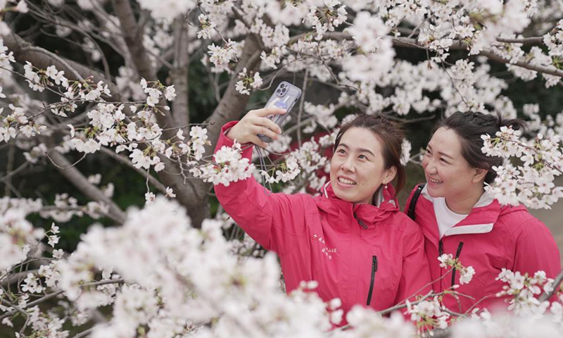 Medical workers of Wuhan Leishenshan Hospital pose for photo at Wuhan University in Wuhan, central China's Hubei Province, March 13, 2021. Wuhan University, one of the best places in the city to feast the eyes of cherry blossom admirers, announced it would offer free exclusive tours and performances for medical workers across China who had assisted Wuhan with the fight against the epidemic in 2020 and their relatives from Saturday to Sunday. (Photo: Xinhua)