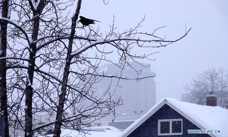 Photo taken on March 15, 2021 shows the snowy scenery in Anchorage, Alaska, the United States. A heavy snowfall hits Anchorage on Monday.Photo:Xinhua