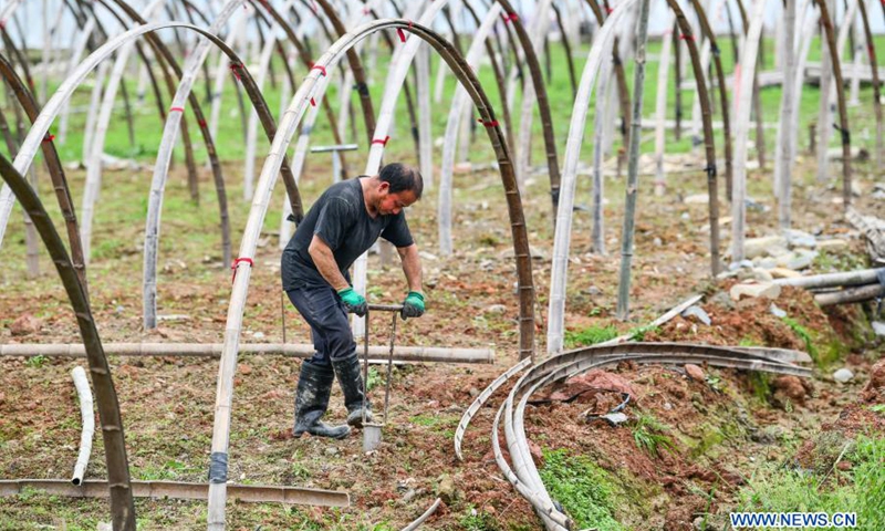 A farmer prepares to plant water melons in Chejiang Dam District of Rongjiang County, Qiandongnan Miao and Dong Autonomous Prefecture, southwest China's Guizhou Province, on March 15, 2021.(Photo: Xinhua)