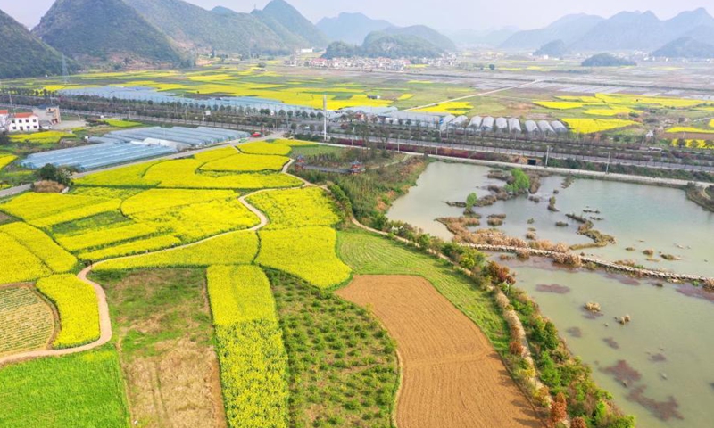 Aerial photo taken on March 17, 2021 shows the spring scenery at the Xiaohewan Village, Anshun City of southwest China's Guizhou Province.Photo:Xinhua