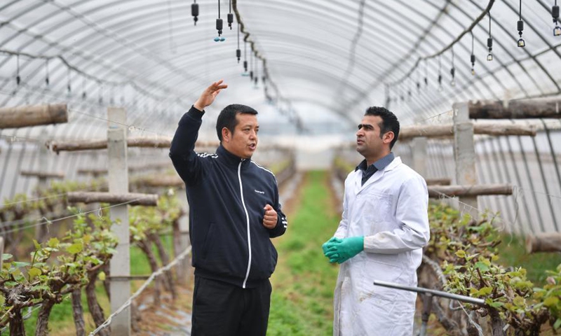 Abdul Ghaffar Shar (R) talks with staff member Li Haiping about irrigation equipment at a cooperative of Yangling agricultural hi-tech industrial demonstration zone in northwest China's Shaanxi Province, March 17, 2021.(Photo:Xinhua)