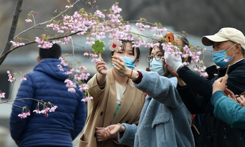 People take photos of cherry blossoms at the Yuyuantan Park in Beijing, capital of China, March 18, 2021. An activity to feast the eyes of cherry blossom admirers will kick off at the park on March 20.(Photo:Xinhua)