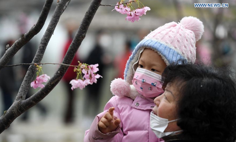 People enjoy cherry blossoms at the Yuyuantan Park in Beijing, capital of China, March 18, 2021. An activity to feast the eyes of cherry blossom admirers will kick off at the park on March 20.(Photo:Xinhua)