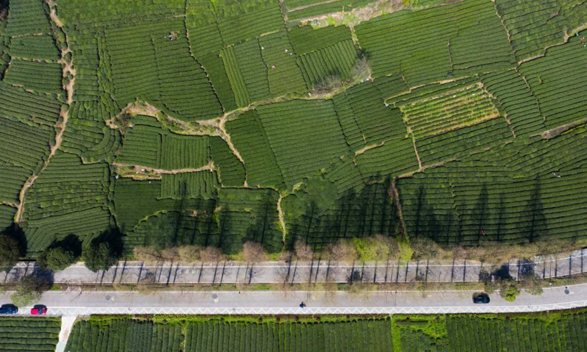 Aerial photo shows a tea garden at Meijiawu Village of Hangzhou City, east China's Zhejiang Province, March 23, 2021. (Xinhua/Xu Yu)