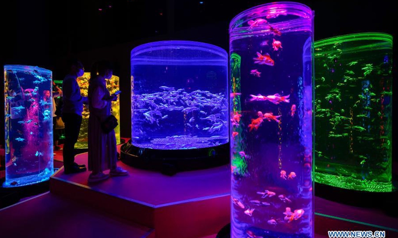 People visit a goldfish exhibition at the Art Aquarium Museum in Tokyo, Japan, March 24, 2021. The exhibition is on view from March 6 to May 9.(Photo: Xinhua)