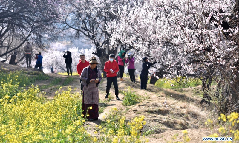 Tourists view peach blossoms in Gala village of Nyingchi, southwest China's Tibet Autonomous Region, March 27, 2021. (Photo: Xinhua)