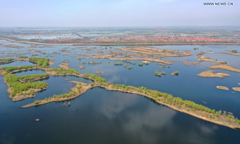 Aerial photo taken on April 5, 2021 shows a view of Dagu River in Qingdao, east China's Shandong Province.(Photo: Xinhua)