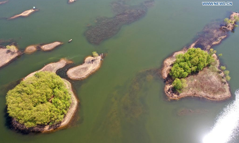 Aerial photo taken on April 5, 2021 shows a view of Dagu River in Qingdao, east China's Shandong Province.(Photo: Xinhua)