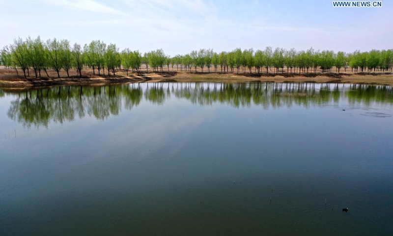 Aerial photo taken on April 5, 2021 shows a view of Dagu River in Qingdao, east China's Shandong Province.(Photo: Xinhua)