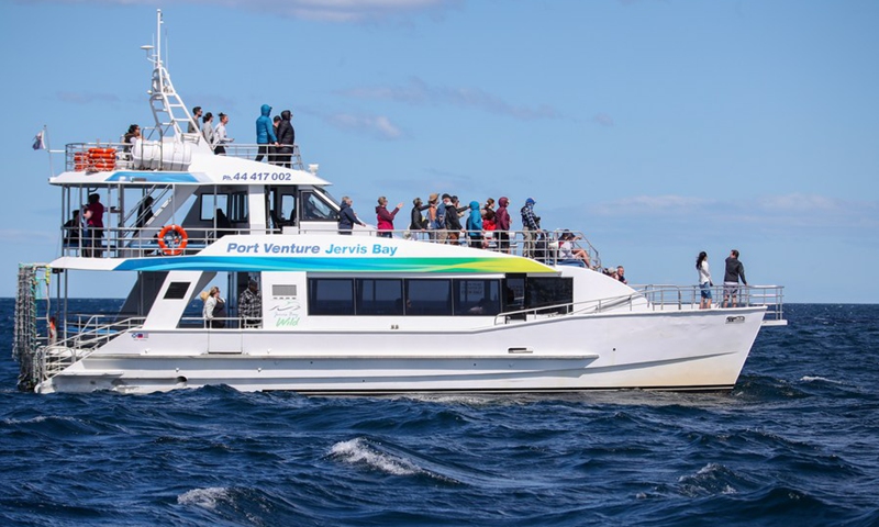 Tourists take a cruise boat for whale watching in Jervis Bay, south of Sydney, Australia, Sept. 23, 2020.(Photo: Xinhua)