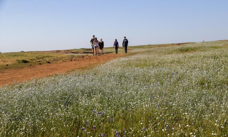 Tourists enjoy the scenery at the North Table Mountain Ecological Reserve in California, the United States, April 15, 2021. Photo: Xinhua