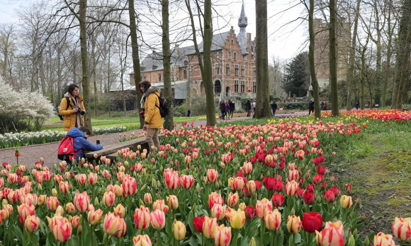 People visit the Floralia Brussels, or the 18th edition of the international flower exhibition, at the Grand Bigard castle near Brussels, Belgium, April 14, 2021. The exhibition will last until May 2. The park of 14 hectares showcases more than one million flowers, with almost 400 varieties of tulips. Hyacinths and daffodils are also well represented.  Photo: Xinhua