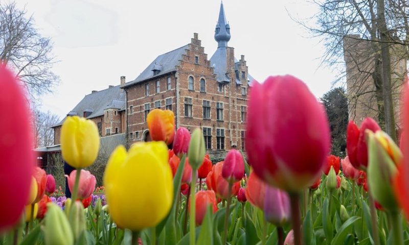 People visit the Floralia Brussels, or the 18th edition of the international flower exhibition, at the Grand Bigard castle near Brussels, Belgium, April 14, 2021. The exhibition will last until May 2. The park of 14 hectares showcases more than one million flowers, with almost 400 varieties of tulips. Hyacinths and daffodils are also well represented.Photo:Xinhua