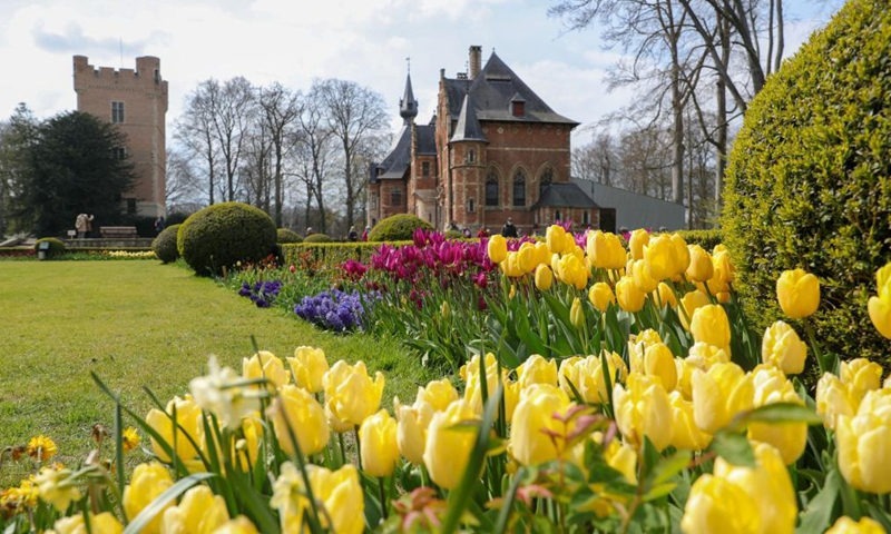 People visit the Floralia Brussels, or the 18th edition of the international flower exhibition, at the Grand Bigard castle near Brussels, Belgium, April 14, 2021. The exhibition will last until May 2. The park of 14 hectares showcases more than one million flowers, with almost 400 varieties of tulips. Hyacinths and daffodils are also well represented.Photo:Xinhua