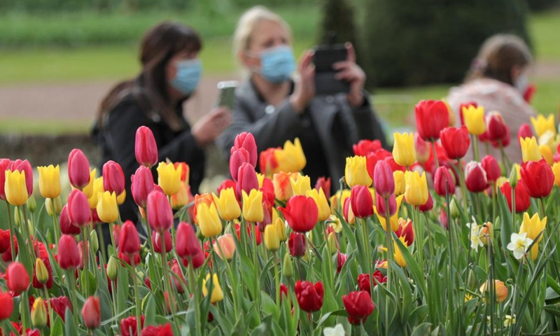 People visit the Floralia Brussels, or the 18th edition of the international flower exhibition, at the Grand Bigard castle near Brussels, Belgium, April 14, 2021. The exhibition will last until May 2. The park of 14 hectares showcases more than one million flowers, with almost 400 varieties of tulips. Hyacinths and daffodils are also well represented.Photo:Xinhua