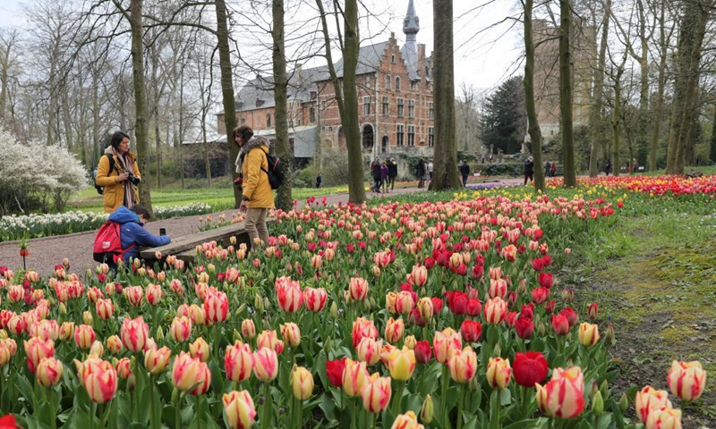 People visit the Floralia Brussels, or the 18th edition of the international flower exhibition, at the Grand Bigard castle near Brussels, Belgium, April 14, 2021. The exhibition will last until May 2. The park of 14 hectares showcases more than one million flowers, with almost 400 varieties of tulips. Hyacinths and daffodils are also well represented.Photo:Xinhua