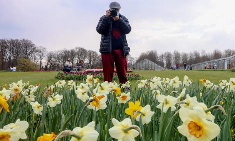 People visit the Floralia Brussels, or the 18th edition of the international flower exhibition, at the Grand Bigard castle near Brussels, Belgium, April 14, 2021. The exhibition will last until May 2. The park of 14 hectares showcases more than one million flowers, with almost 400 varieties of tulips. Hyacinths and daffodils are also well represented.Photo:Xinhua