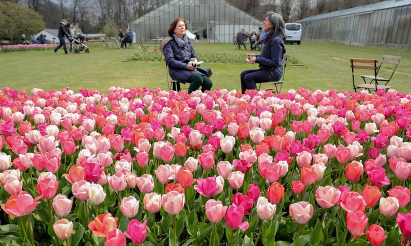 People visit the Floralia Brussels, or the 18th edition of the international flower exhibition, at the Grand Bigard castle near Brussels, Belgium, April 14, 2021. The exhibition will last until May 2. The park of 14 hectares showcases more than one million flowers, with almost 400 varieties of tulips. Hyacinths and daffodils are also well represented.Photo:Xinhua