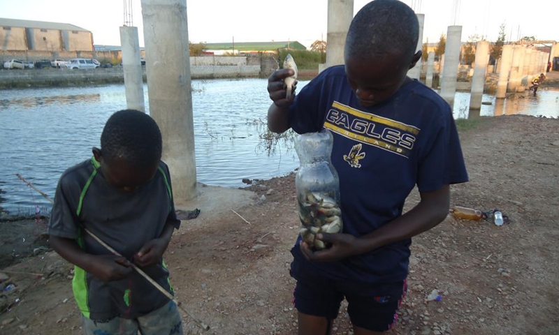 Douglas Mambwe (R) counts fishes he caught from a popular dam in Misisi compound, a slum in Zambia's capital Lusaka on April 12, 2021.(Photo: Xinhua)