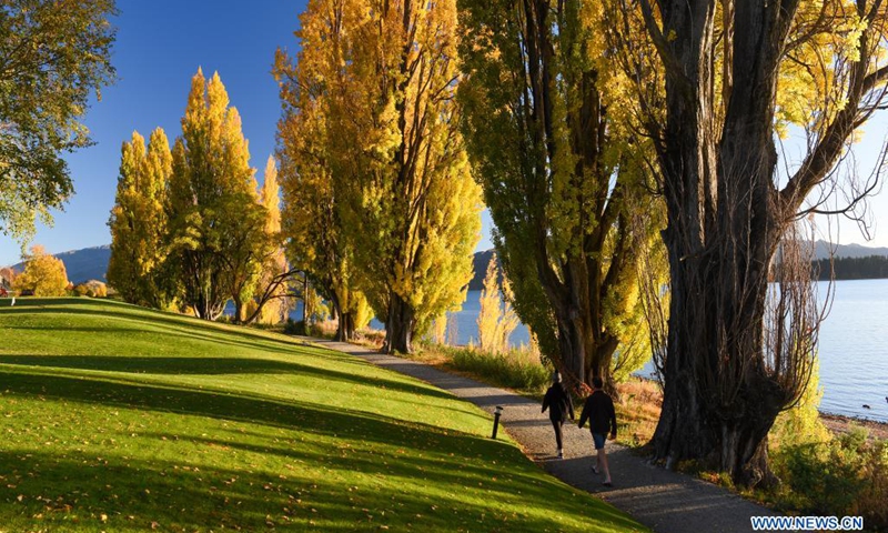 Photo taken on April 20, 2021 shows the autumn scenery by Lake Wanaka in the South Island of New Zealand.(Photo: Xinhua)