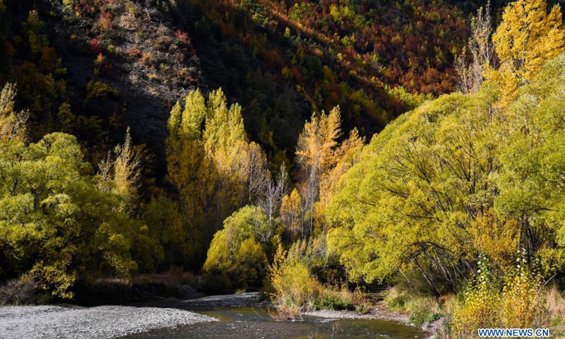 Photo taken on April 20, 2021 shows the autumn scenery by Lake Wanaka in the South Island of New Zealand.(Photo: Xinhua)