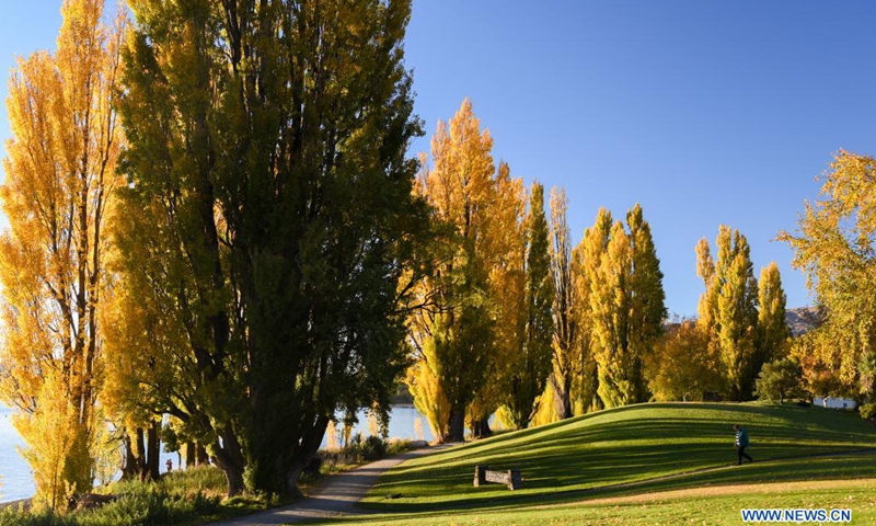 Photo taken on April 20, 2021 shows the autumn scenery by Lake Wanaka in the South Island of New Zealand.(Photo: Xinhua)