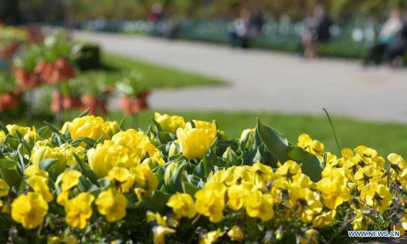 Flowers are pictured at the Volksgarten in Vienna, Austria, April 23, 2021.Photo:Xinhua