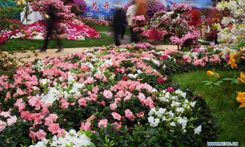 Azalea blossoms are pictured at Azalea Festival in Rizhao, east China's Shandong Province, April 24, 2021. The third Azalea Festival (Rizhao) kicked off here on Saturday.(Photo: Xinhua)