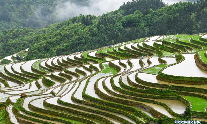 Terraced fields in Dangniu Village of Guizhou - Global Times