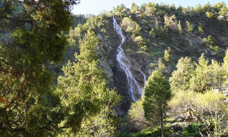 A waterfall is pictured from Zaamin National Park in the Jizzakh region of Uzbekistan, May 2, 2021.  Photo: Xinhua