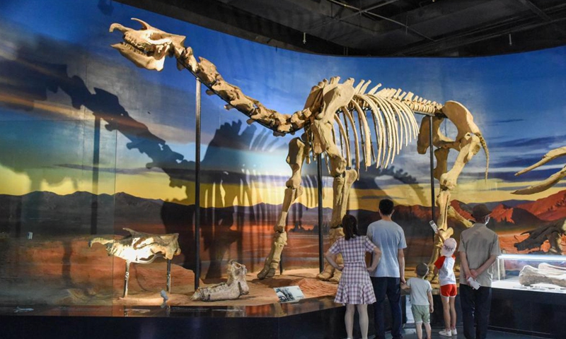 Visitors watch exhibits at the Turpan Museum, Turpan, northwest China's Xinjiang Uygur Autonomous Region, May 13, 2021. More and more tourists choose to visit Turpan, a city noted for its splendid historical culture. The Turpan Museum, home to a collection of more than 20,000 relics, has become an emerging tourist attraction for the city.Photo:Xinhua