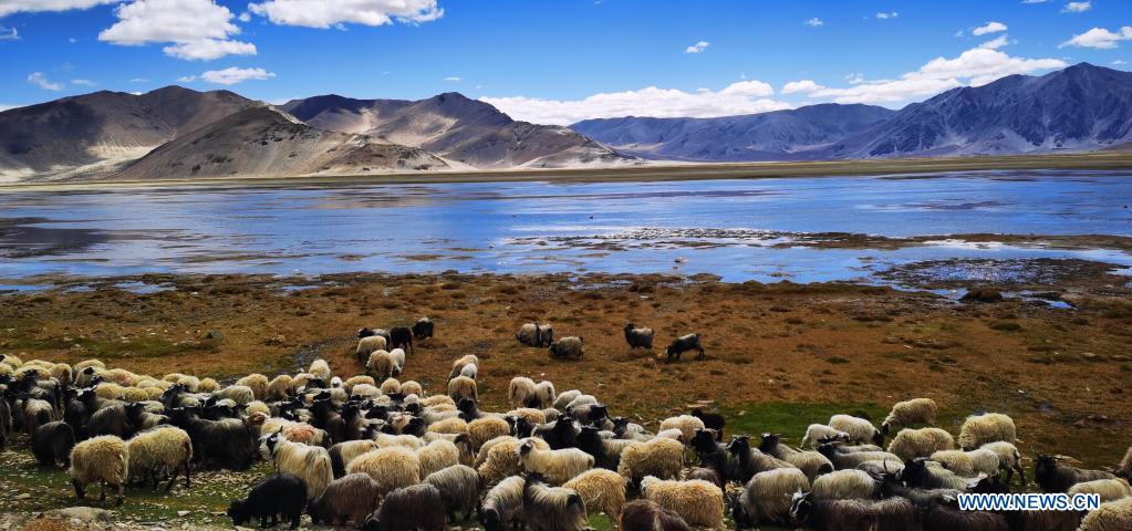 Cellphone photo taken on May 13, 2021 shows the scenery of a wetland in Dinggye County, southwest China's Tibet Autonomous Region. (Photo: Xinhua)