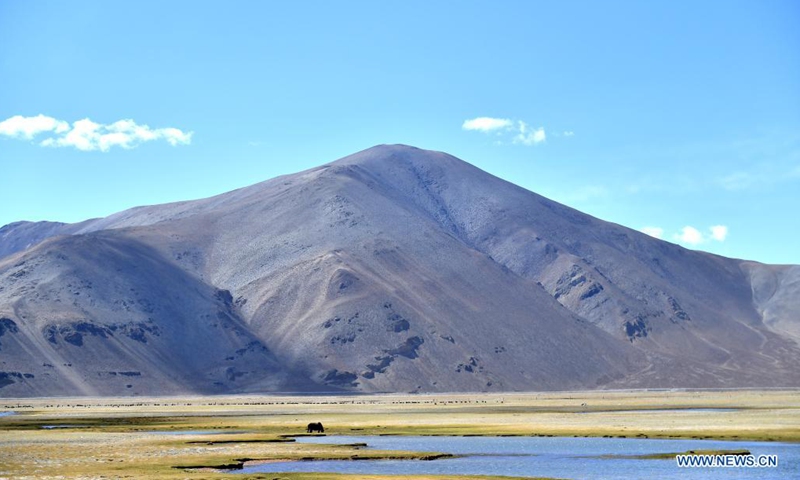 Photo taken on May 13, 2021 shows the scenery of a wetland in Dinggye County, southwest China's Tibet Autonomous Region. (Photo: Xinhua)