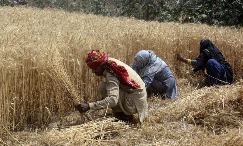 Pakistan seeks cooperation with China to modernize agricultural sector ...