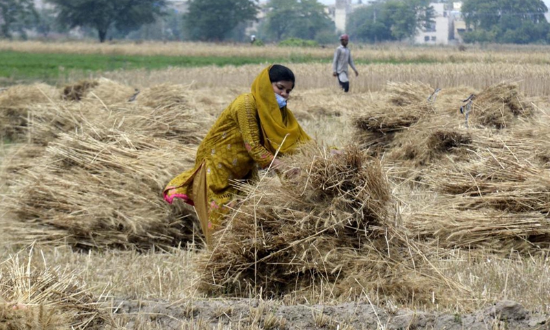 Pakistan Seeks Cooperation With China To Modernize Agricultural Sector 